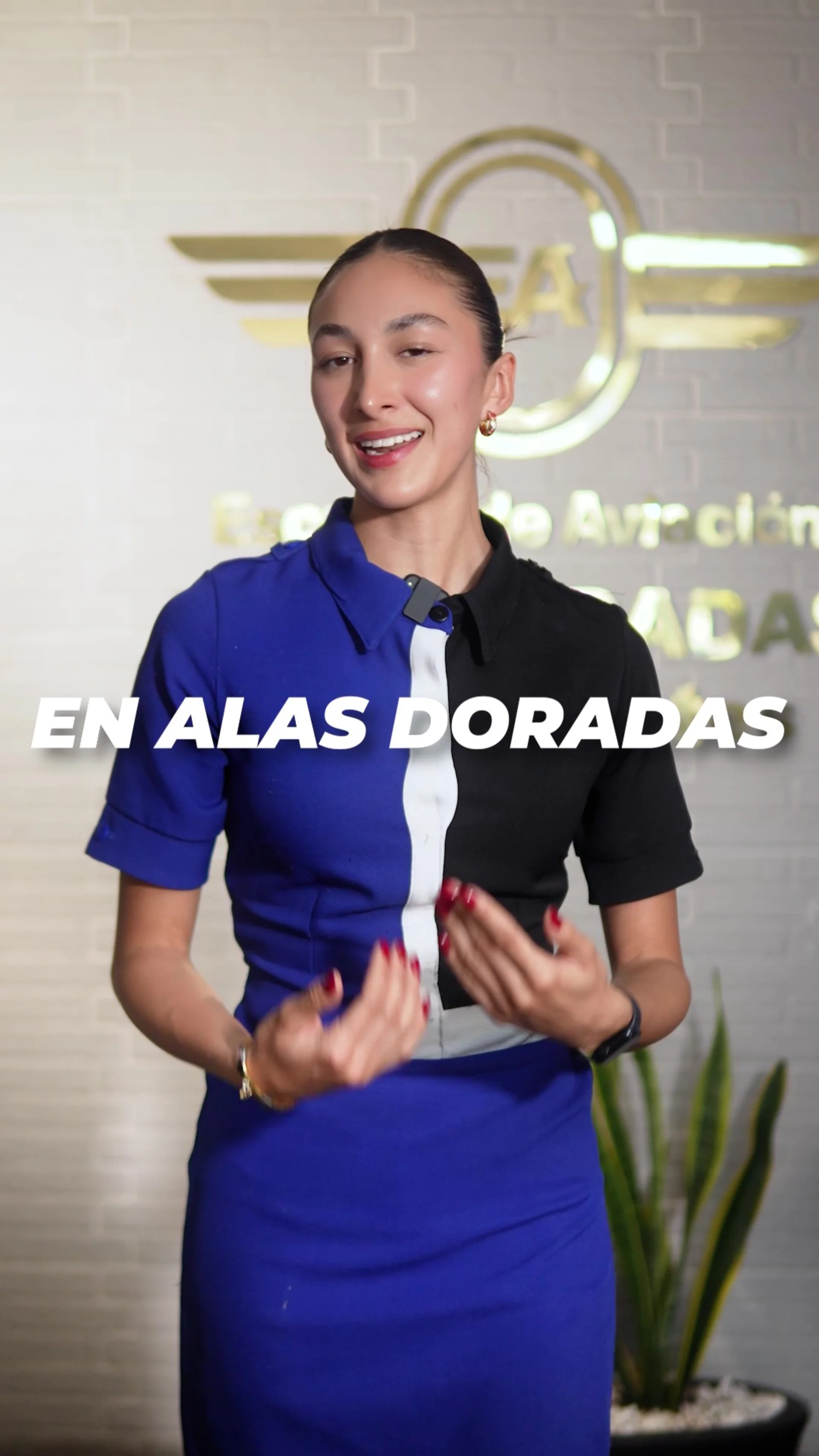 Campaña Gastronómica — Social Reel
